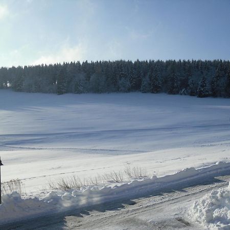 Apartment Sonnenschein Braunlage Exterior foto